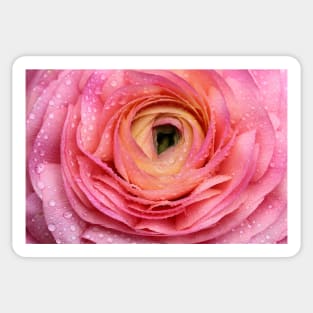 Pink flower Sticker